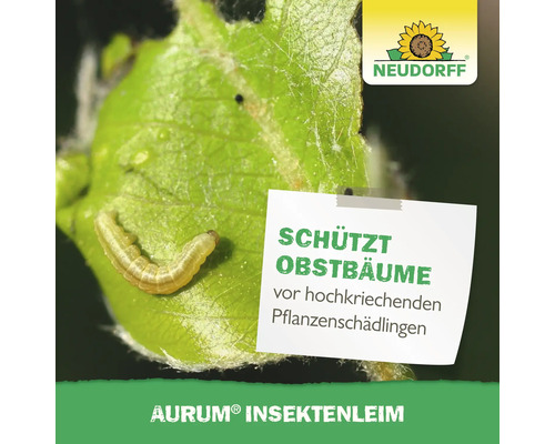 Aurum Insektenleim zum Schutz von Obstbäumen vor Schädlingen