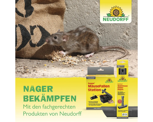 Nagetierbekämpfung mit Neudorff Produkten, inklusive Mausefallenstation und Wühlmaus Köder Depot, dargestellt mit einer Ratte.