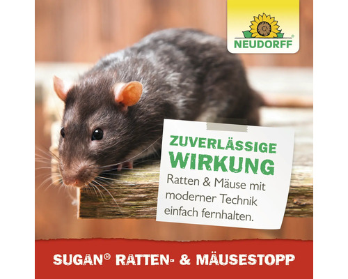 Ratte neben Neudorff Logo und Hinweis zu zuverlässiger Wirkung von Sugan Ratten- und Mäusestopp