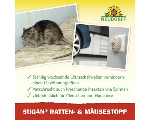 Sugan Ratten- und Mäusestopp mit Ratte und Ultraschallgerät
