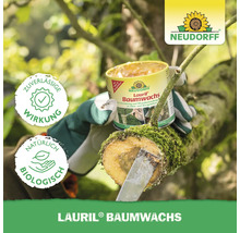 Neudorff Lauril Baumwachs Dose zur Baumveredelung und Wundbehandlung