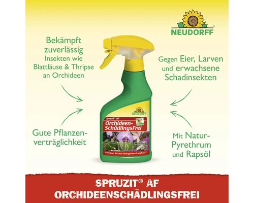 Neudorff Spruzit Schädlingsfrei Spray für Orchideen