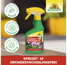 Neudorff Spruzit AF Schädlingsfrei für Orchideen im Sprühflasche. Nicht gefährlich für Bienen. Für ökologischen Landbau geeignet. Verpackung mit Altplastik.