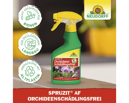 Neudorff Spruzit AF Schädlingsfrei für Orchideen im Sprühflasche. Nicht gefährlich für Bienen. Für ökologischen Landbau geeignet. Verpackung mit Altplastik.