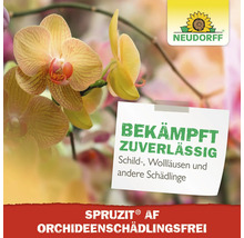 Neudorff Logo. Mittel zur Schädlingsbekämpfung bei Orchideen
