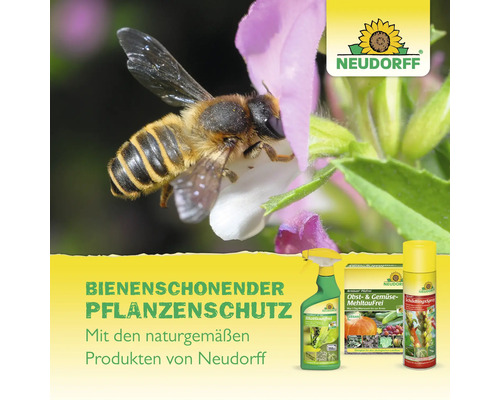 Bienenschonender Pflanzenschutz von Neudorff mit Logo und Produktabbildungen