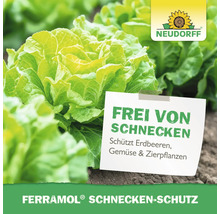 Ferramol Schnecken-Schutz im Gemüsegarten mit Neudorff Logo