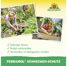 Frau pflanzt Gemüse im Garten, Ernte in Holzkiste, Neudorff Logo, Ferramol Schnecken-Schutz