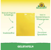 Gelbtafeln zur Schädlingsbekämpfung im Gewächshaus mit Neudorff Logo
