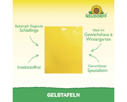 Gelbtafeln zur Schädlingsbekämpfung im Gewächshaus mit Neudorff Logo