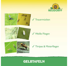Darstellung von Trauermücken, Weißen Fliegen, Thripse und Minierfliegen für Gelbtafeln
