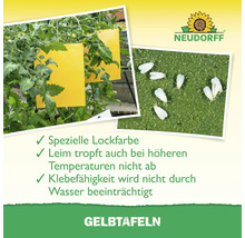 Neudorff Gelbtafeln zum Insektenfang an Pflanzen