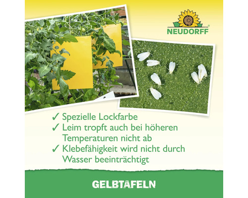 Neudorff Gelbtafeln zum Insektenfang an Pflanzen