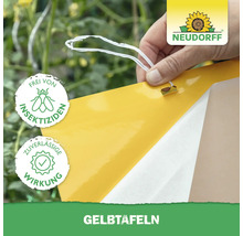 Gelbtafeln zur Schädlingsbekämpfung im Garten mit Neudorff Logo. Enthält das Siegel: Frei von Insektiziden. Enthält das Siegel: Zuverlässige Wirkung.