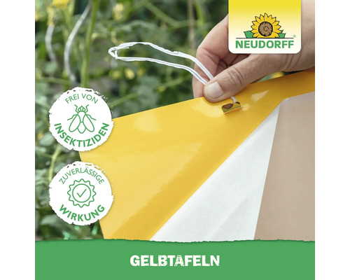 Gelbtafeln zur Schädlingsbekämpfung im Garten mit Neudorff Logo. Enthält das Siegel: Frei von Insektiziden. Enthält das Siegel: Zuverlässige Wirkung.