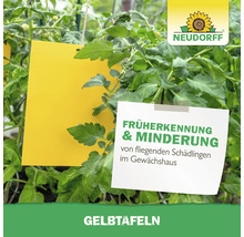 Gelbtafeln zur Schädlingsbekämpfung im Gewächshaus