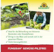 Neudorff Logo. Anwendung von Pilzbekämpfungsmittel auf Gemüse.