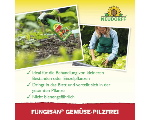 Neudorff Logo. Anwendung von Pilzbekämpfungsmittel auf Gemüse.