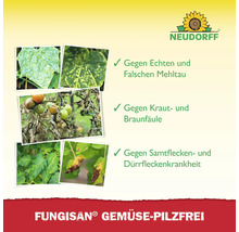 Fungisan Gemüse Pilzfrei zur Bekämpfung von echtem und falschem Mehltau, Kraut- und Braunfäule sowie Samtfleckenkrankheit und Dürrfleckenkrankheit. Neudorff Logo.
