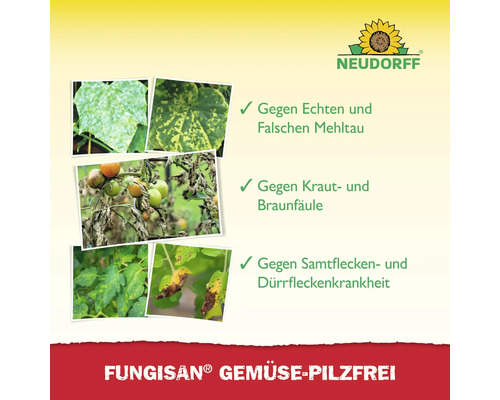 Fungisan Gemüse Pilzfrei zur Bekämpfung von echtem und falschem Mehltau, Kraut- und Braunfäule sowie Samtfleckenkrankheit und Dürrfleckenkrankheit. Neudorff Logo.
