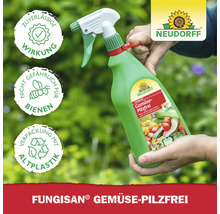Neudorff Fungisan Gemüse-Pilzfrei Pflanzenschutzmittel in der Anwendung. Das Produkt hat eine zuverlässige Wirkung und ist nicht gefährlich für Bienen. Die Verpackung besteht aus Altplastik.