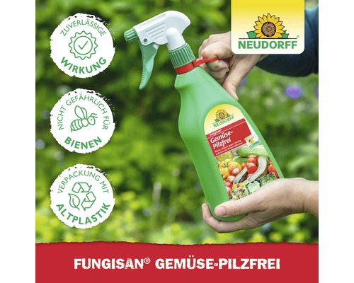 Neudorff Fungisan Gemüse-Pilzfrei Pflanzenschutzmittel in der Anwendung. Das Produkt hat eine zuverlässige Wirkung und ist nicht gefährlich für Bienen. Die Verpackung besteht aus Altplastik.