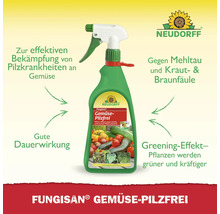 Fungisan Gemüse Pilzfrei Sprühflasche zur Pilzbekämpfung von Neudorff