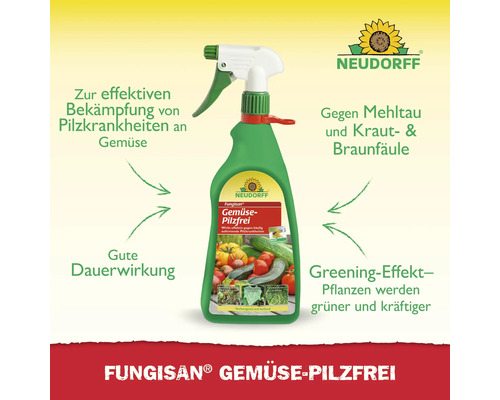 Fungisan Gemüse Pilzfrei Sprühflasche zur Pilzbekämpfung von Neudorff