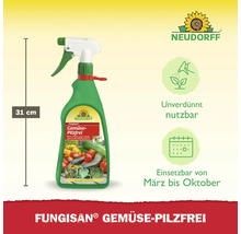 Fungisan Gemüse Pilzfrei Sprühflasche mit einer Höhe von 31 cm. Neudorff Logo.