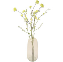 Blumenvase Glas Vitrum 20 x 20 x 38 cm beige