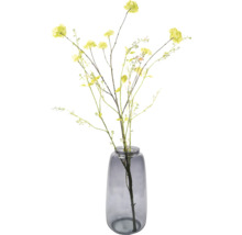 Blumenvase Glas Vitrum 20 x 20 x 18 cm schwarz transparent