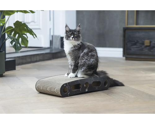 Eine Katze sitzt auf einem Kratzbrett für Katzen.