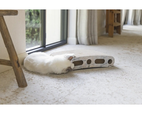 Katze spielt mit einem Kratzbrett im Wohnzimmer.