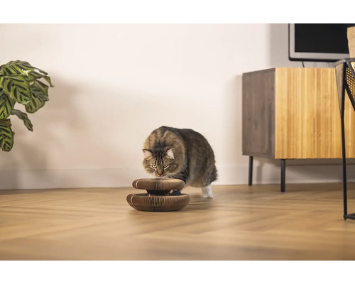 Katze untersucht einen Katzenkratzbaum aus Pappe in einem Wohnzimmer.