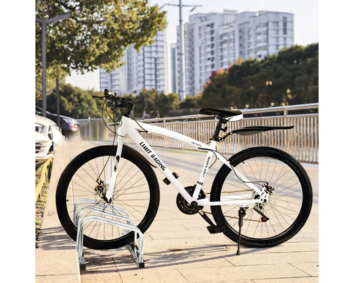 Weißes Mountainbike mit Gepäckträger und Fahrradständer