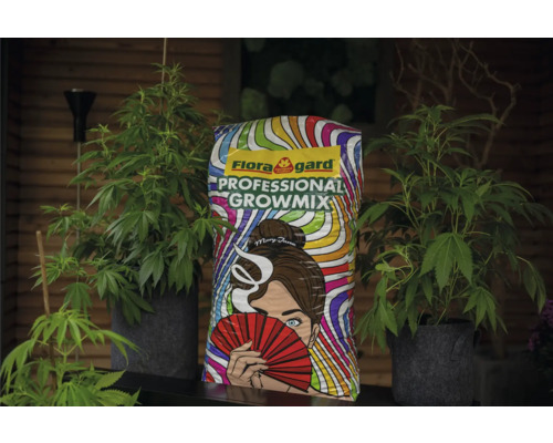 Flora Gard Professional Growmix Pflanzerde Sack zwischen zwei Pflanzen