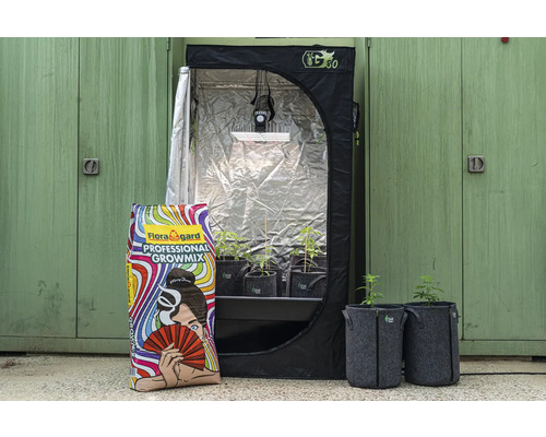 Growbox mit Pflanzen, Pflanztöpfen und Sack Pflanzerde