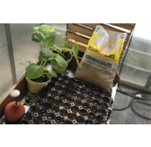 Aufzuchtschale mit Pflanzen, Anzuchttöpfen und Floragard Vermiculite