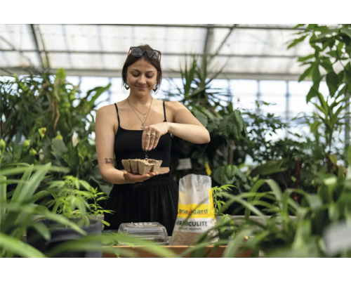 Frau befüllt Anzuchttöpfe mit Vermiculit in einem Gewächshaus