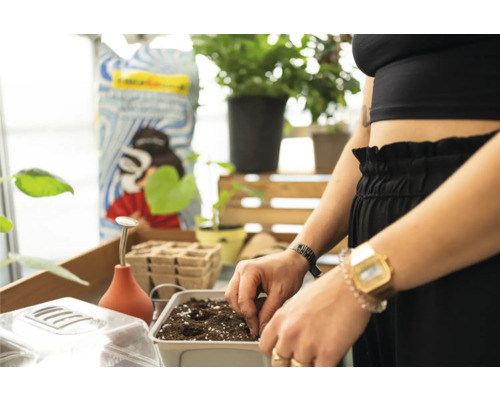 Frau pflanzt Samen in Anzuchtschale mit Erde, Anzuchtset mit Zubehör im Hintergrund