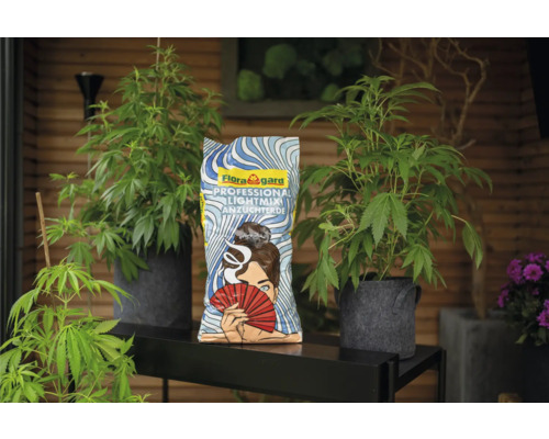 Floragard Professional Lightmix Anzuchterde Sack mit Pflanzen auf einem Tisch