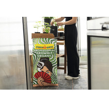 Flora Gard Profi Growmix Organic Pflanzerde im Gewächshaus