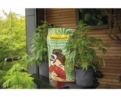 Ein Sack Blumenerde von Flora Gard Professional Growmix Organic umgeben von Pflanzen