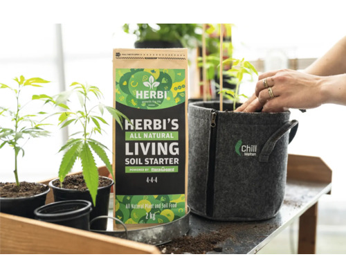 Herbi''s All Natural Living Soil Starter neben Chill Welten Pflanzgefäß und Pflanzen