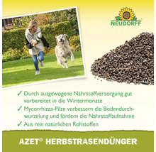Herbstrasendünger Neudorff Azet 20 kg 400 m²
