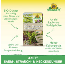 Neudorff Azet Baum Strauch Heckendünger Packung