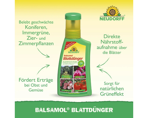 Neudorff Balsamol Blattdünger zur Stärkung von geschwächten Pflanzen
