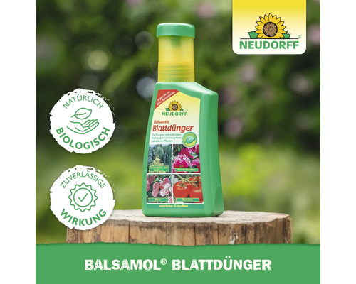 Neudorff Balsamol Blattdünger für Grünpflanzen und andere Pflanzen