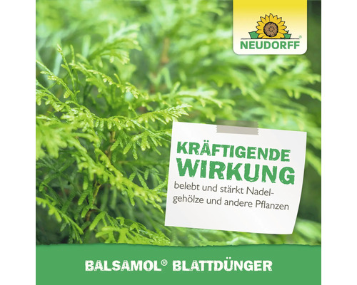 Balsamol Blattdünger für eine kräftigende Wirkung auf Nadelgehölze und andere Pflanzen, Neudorff Logo