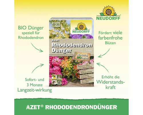Azet Rhododendron Dünger Packung von Neudorff